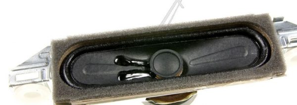 30077251 SPEAKER
