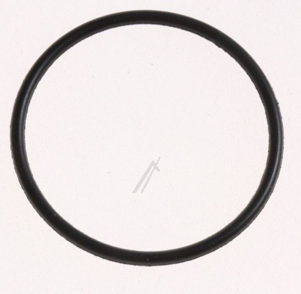 0017019 900170-19 VENTIEL O-RING DC08