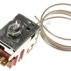 596215 THERMOSTAAT